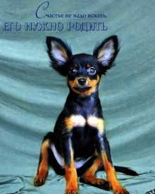 11791666_621249171350162_1134040989_n.jpg (41.06 КБ, Просмотров: 2566) 11791666_621249171350162_1134040989_n.jpg