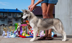 у1.jpg (358.84 КБ, Просмотров: 1997) у1.jpg