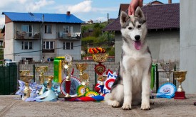 у2.jpg (371.71 КБ, Просмотров: 1997) у2.jpg