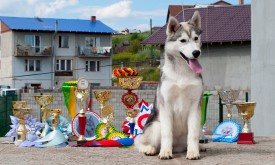 у3.jpg (385.83 КБ, Просмотров: 1997) у3.jpg