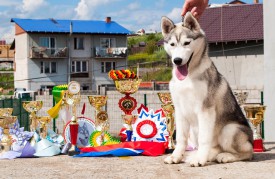 у4.jpg (273.75 КБ, Просмотров: 1997) у4.jpg