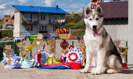 у6.jpg (285.76 КБ, Просмотров: 1997) у6.jpg