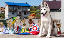 у3,.jpg (365.14 КБ, Просмотров: 1996) у3,.jpg