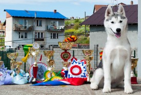 у4.jpg (395.78 КБ, Просмотров: 1996) у4.jpg