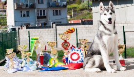 у3.jpg (302.07 КБ, Просмотров: 1996) у3.jpg