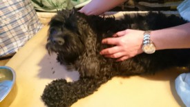 IMG-20150820-WA0000.jpg (135.13 КБ, Просмотров: 2235) IMG-20150820-WA0000.jpg