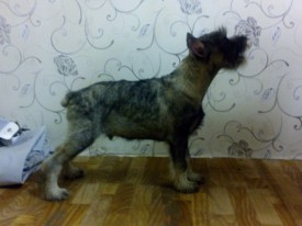 aH2UoSBT_9c.jpg (80.83 КБ, Просмотров: 3385) aH2UoSBT_9c.jpg