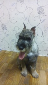 GCIam6qMkig.jpg (78.74 КБ, Просмотров: 3473) GCIam6qMkig.jpg