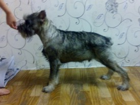 kwNnRHSqAEw.jpg (89.43 КБ, Просмотров: 3385) kwNnRHSqAEw.jpg