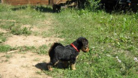 Красная 1.jpg (282.7 КБ, Просмотров: 2969) Красная 1.jpg