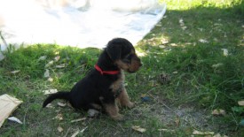 Красная 2.jpg (142.66 КБ, Просмотров: 2956) Красная 2.jpg