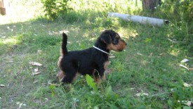 Белый 1.jpg (178.5 КБ, Просмотров: 2946) Белый 1.jpg