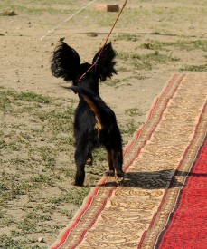 5 (Копировать).jpg (374.92 КБ, Просмотров: 2604) 5 (Копировать).jpg