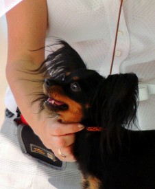 1 (Копировать).jpg (103.46 КБ, Просмотров: 2591) 1 (Копировать).jpg