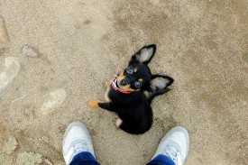 Окси на байкале (Копировать).jpg (607.99 КБ, Просмотров: 2588) Окси на байкале (Копировать).jpg