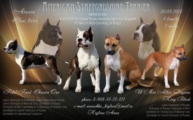 1.jpg (168.08 КБ, Просмотров: 1927) 1.jpg