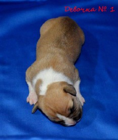 BUQb3f0n4MY.jpg (76.35 КБ, Просмотров: 1925) BUQb3f0n4MY.jpg