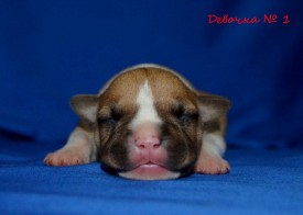 gKprA_Hcgtg.jpg (67.43 КБ, Просмотров: 1871) gKprA_Hcgtg.jpg