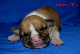 GzbKxdsIJTQ.jpg (80.95 КБ, Просмотров: 1925) GzbKxdsIJTQ.jpg