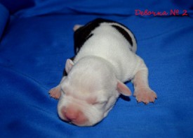 7_U2_5yu10I.jpg (75.9 КБ, Просмотров: 1717) 7_U2_5yu10I.jpg