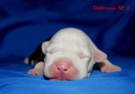 CmtaJzAVN6Q.jpg (69.25 КБ, Просмотров: 1931) CmtaJzAVN6Q.jpg