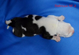 qR-J3h5wdn0.jpg (85.01 КБ, Просмотров: 1925) qR-J3h5wdn0.jpg