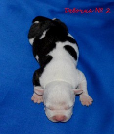 xGjg8o3CasQ.jpg (69.25 КБ, Просмотров: 1925) xGjg8o3CasQ.jpg