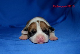 lO3ufkX5uXg.jpg (74.37 КБ, Просмотров: 1871) lO3ufkX5uXg.jpg