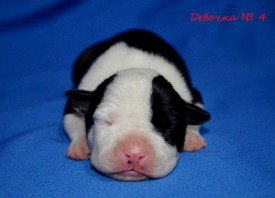 6MQdka0Ea_c.jpg (79.47 КБ, Просмотров: 1871) 6MQdka0Ea_c.jpg