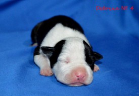 aHsP7-ckPhk.jpg (78.92 КБ, Просмотров: 1931) aHsP7-ckPhk.jpg