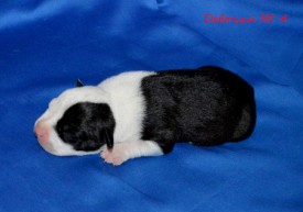 Z9_av4rlrQ8.jpg (87.96 КБ, Просмотров: 1931) Z9_av4rlrQ8.jpg