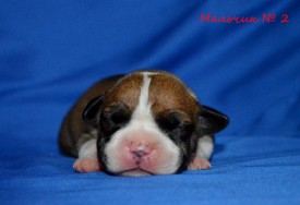 lDVaAvj3h_g.jpg (78.25 КБ, Просмотров: 1717) lDVaAvj3h_g.jpg