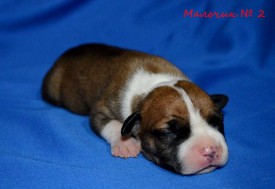 zu2891ut3zo.jpg (89.21 КБ, Просмотров: 1931) zu2891ut3zo.jpg