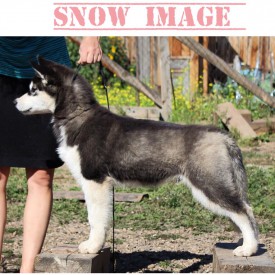 image.jpg (221.84 КБ, Просмотров: 1371) image.jpg