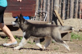 image.jpg (117.69 КБ, Просмотров: 1371) image.jpg