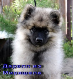 image (4).jpg (130.43 КБ, Просмотров: 3448) image (4).jpg