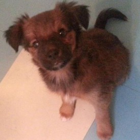 Безымянный2.jpg (31.88 КБ, Просмотров: 4422) Безымянный2.jpg