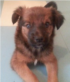 Безымянный.jpg (39.35 КБ, Просмотров: 4412) Безымянный.jpg