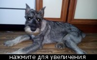 1.jpg (7.63 КБ, Просмотров: 3802) 1.jpg