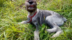 2.jpg (145.34 КБ, Просмотров: 3340) 2.jpg