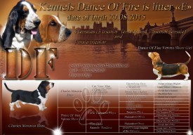 Помет Е - копия.jpg (207.92 КБ, Просмотров: 1787) Помет Е - копия.jpg