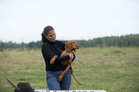 384A2094.jpg (63.17 КБ, Просмотров: 1381) 384A2094.jpg