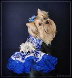 48111_456703957734081_1480105545_n.jpg (61.31 КБ, Просмотров: 9326) 48111_456703957734081_1480105545_n.jpg