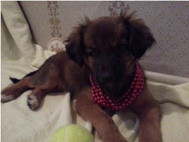 бус.jpg (36.29 КБ, Просмотров: 3883) бус.jpg