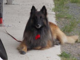 002_310_232_90.jpg (20.11 КБ, Просмотров: 1844) 002_310_232_90.jpg