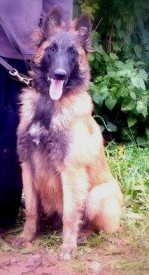 12023269_778741998903956_1291104070_n.jpg (24.92 КБ, Просмотров: 1678) 12023269_778741998903956_1291104070_n.jpg