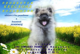 image (3).jpg (150.31 КБ, Просмотров: 3374) image (3).jpg