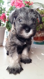 20150929_163424.jpg (352.55 КБ, Просмотров: 1113) 20150929_163424.jpg