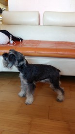 20151010_130243.jpg (133.1 КБ, Просмотров: 1113) 20151010_130243.jpg