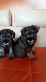 20151010_130346.jpg (246.89 КБ, Просмотров: 1113) 20151010_130346.jpg